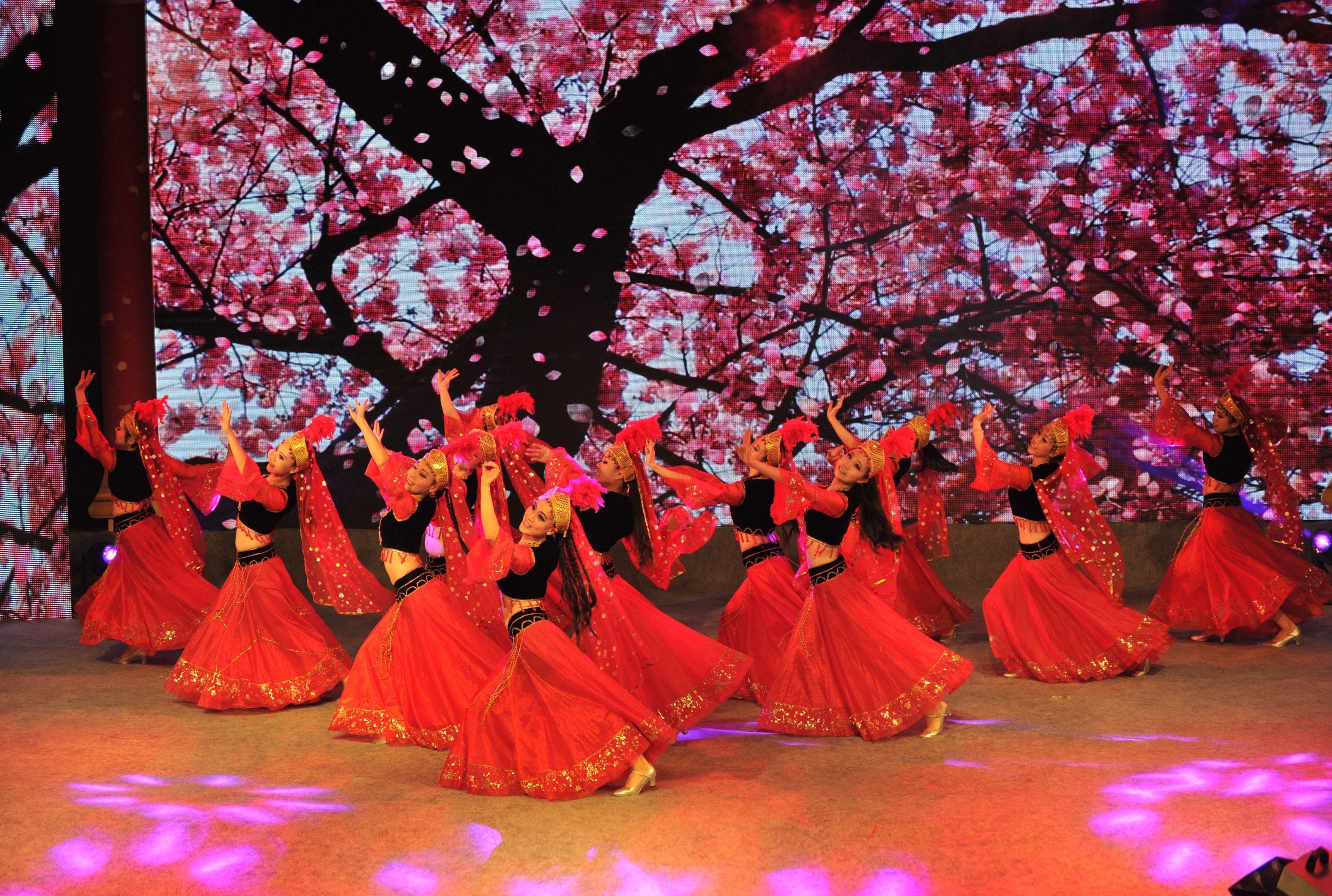 Ethnic Dance Costume